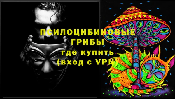 метадон Инта