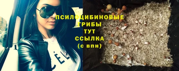 герыч Алзамай