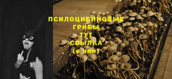 экстази Алексин