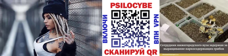 blacksprut ССЫЛКА  Бодайбо  Галлюциногенные грибы мухоморы 